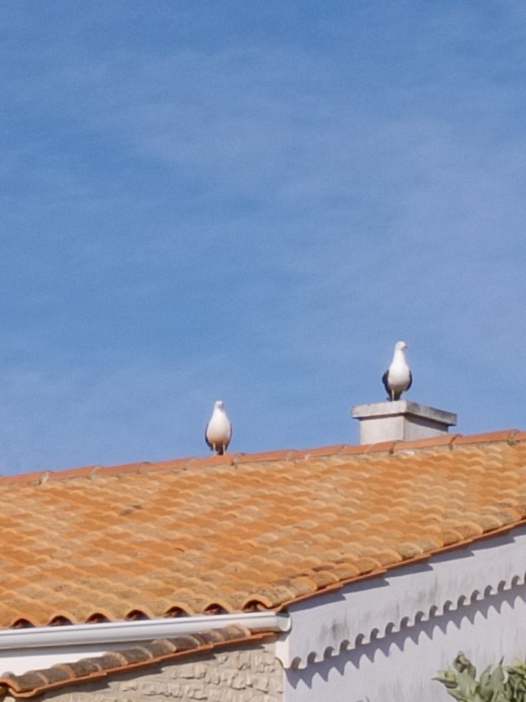 Ramoneur Saint trojan les bains