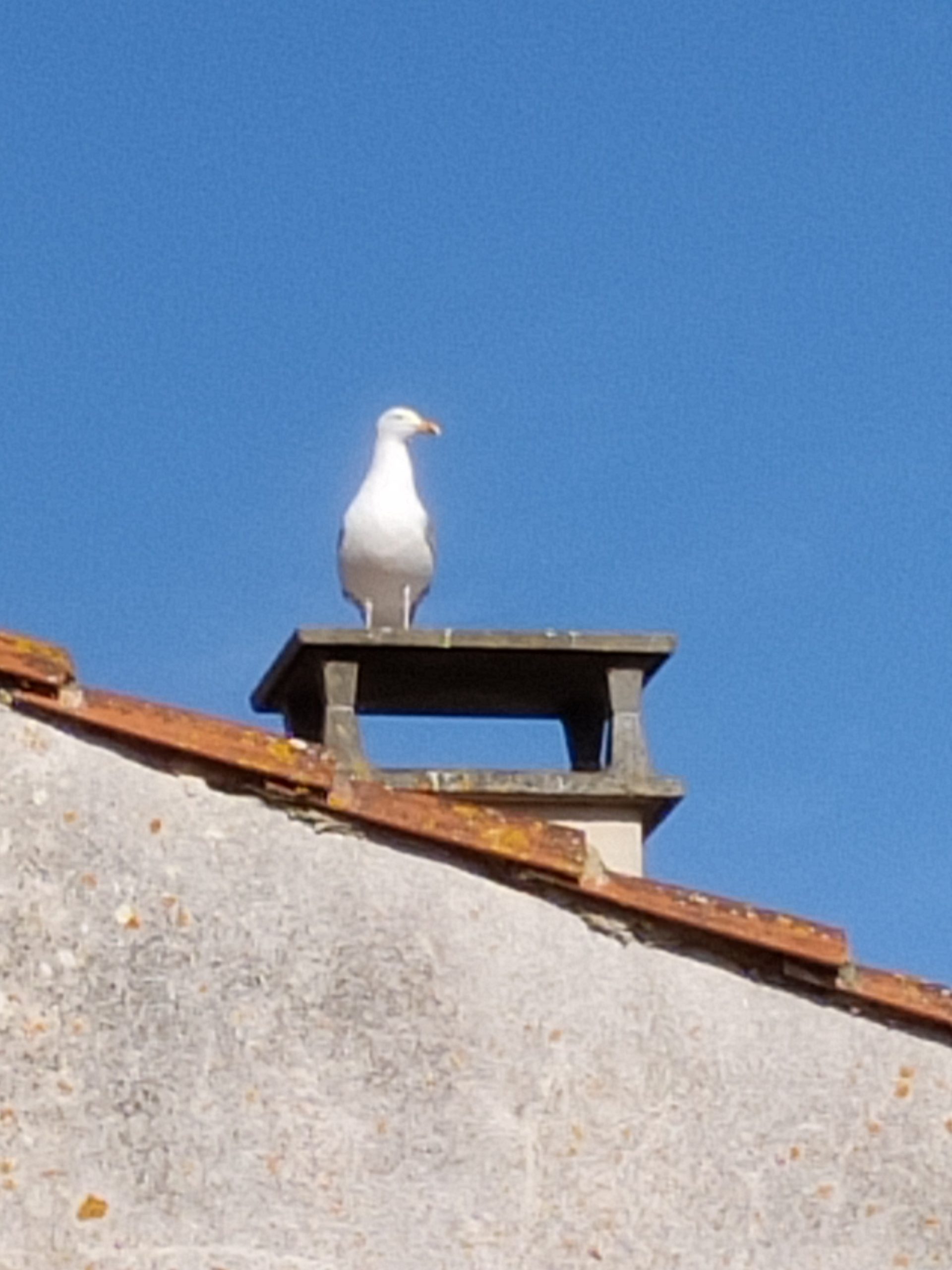 Ramonage de votre poêle à bois à Le Château-d’Oléron