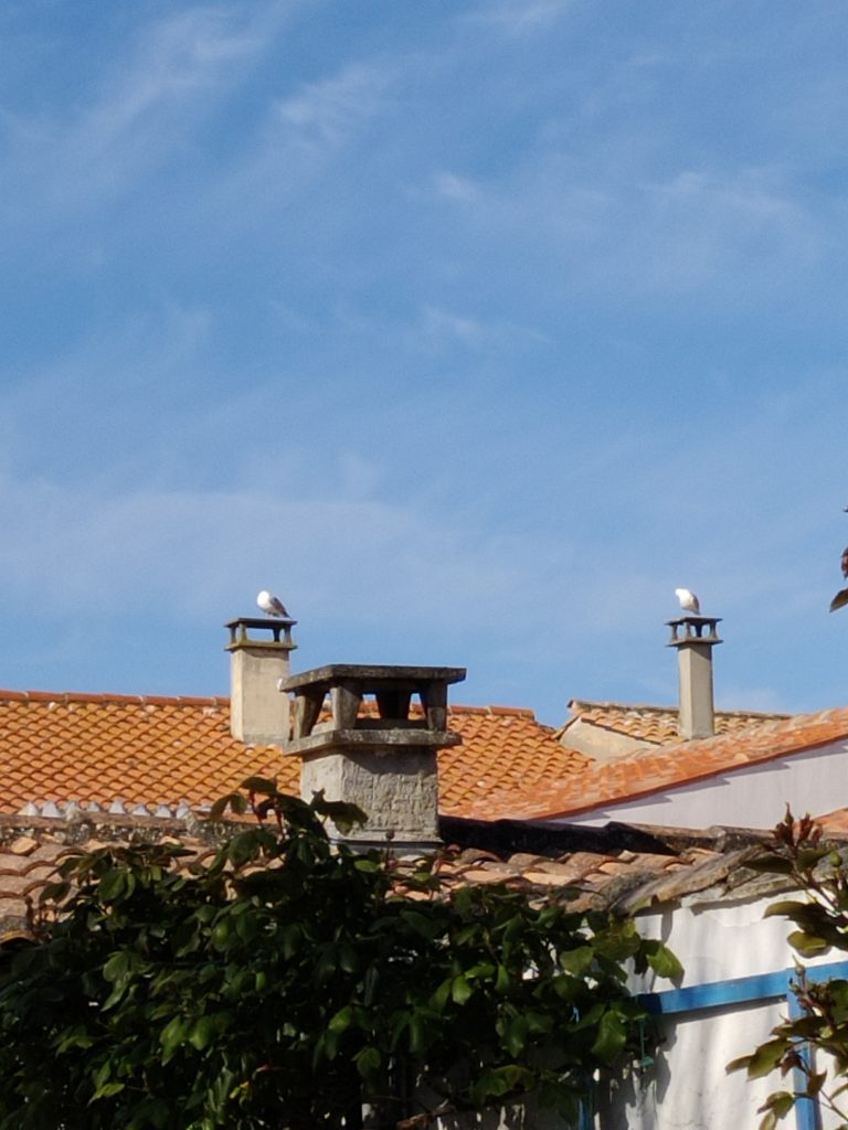 Ramoneur Le chateau d'oléron