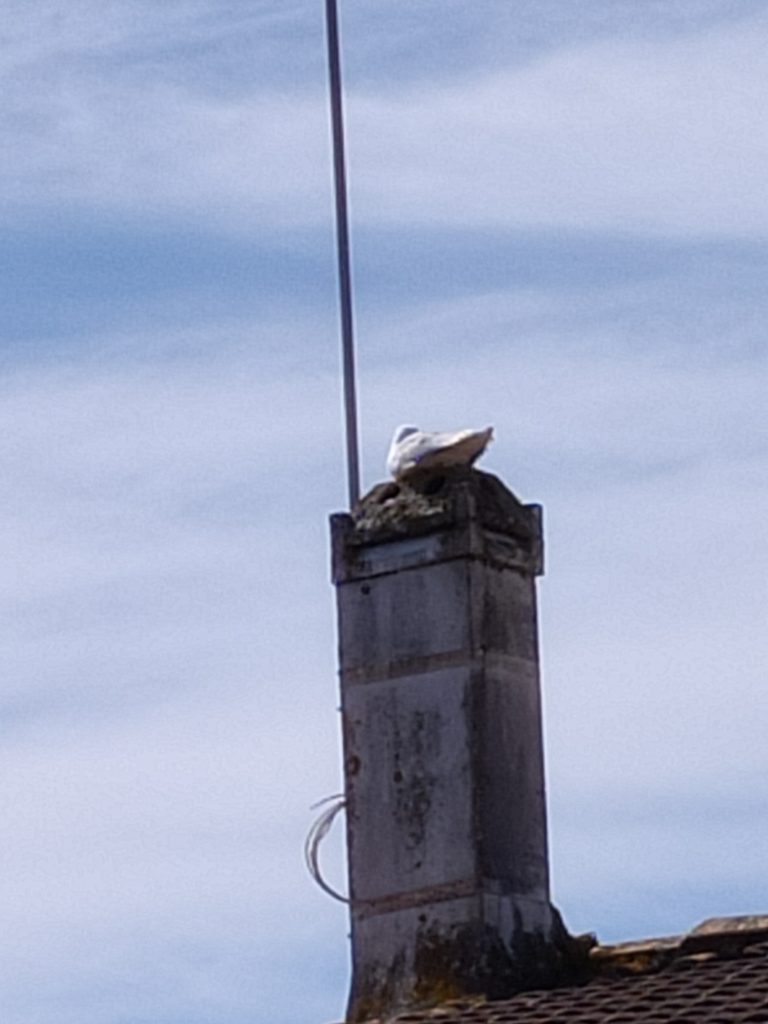 ramonage La brée les bains